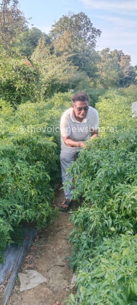 ખેડૂતોને રાત્રીના ભયમાંથી મુક્તિ, સમૃદ્ધિનો માર્ગ મોકળો: વલસાડ જિલ્લાના ૨૯૬૩૦ ખેડૂતોને મળે છે દિવસે વીજળી<br>ખેતી ક્ષેત્રે ક્રાંતિકારી પહેલ: ‘કિસાન સૂર્યોદય યોજના’ ખેડૂતોના જીવનમાં અંધારા ઉલેચી લાવી નવો ઉજાસ..